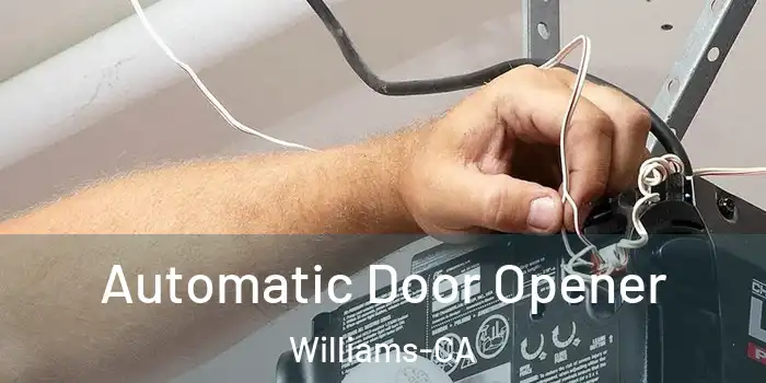 Automatic Door Opener Williams-CA