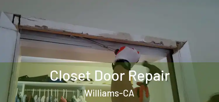 Closet Door Repair Williams-CA
