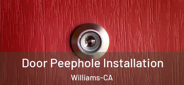 Door Peephole Installation Williams-CA
