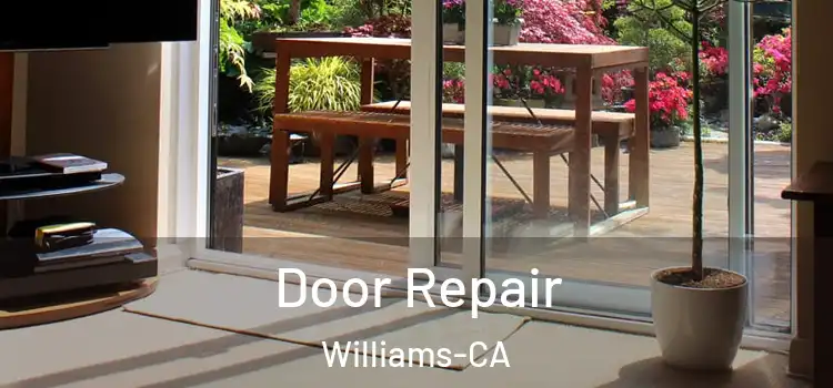Door Repair Williams-CA