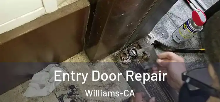 Entry Door Repair Williams-CA