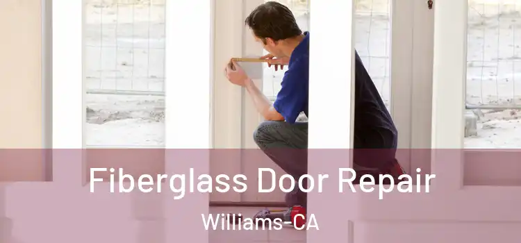 Fiberglass Door Repair Williams-CA