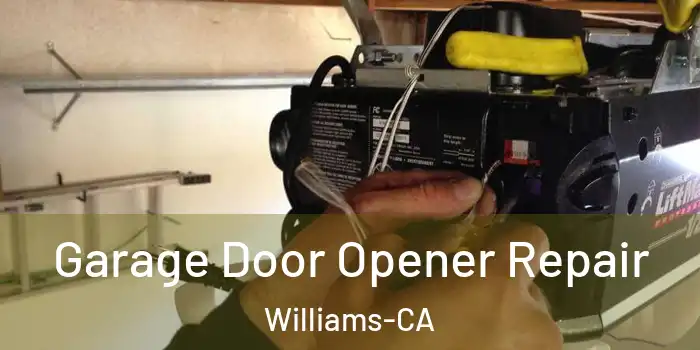 Garage Door Opener Repair Williams-CA