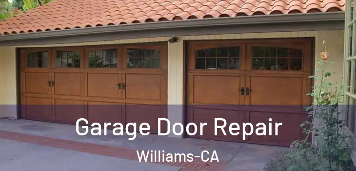 Garage Door Repair Williams-CA