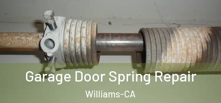 Garage Door Spring Repair Williams-CA