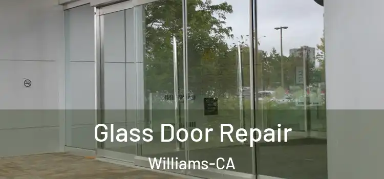 Glass Door Repair Williams-CA