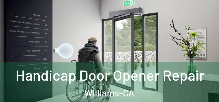 Handicap Door Opener Repair Williams-CA
