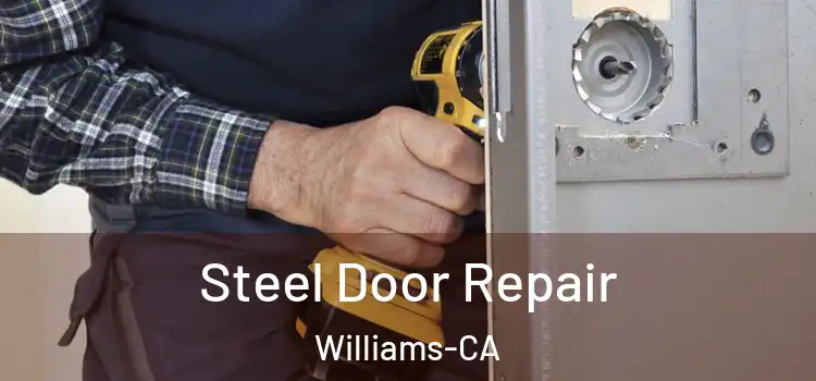 Steel Door Repair Williams-CA